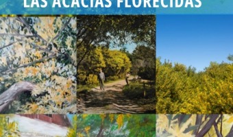 JORNADA DE PINTURA AL AIRE LIBRE EN EL CHALET DE DON CARLOS